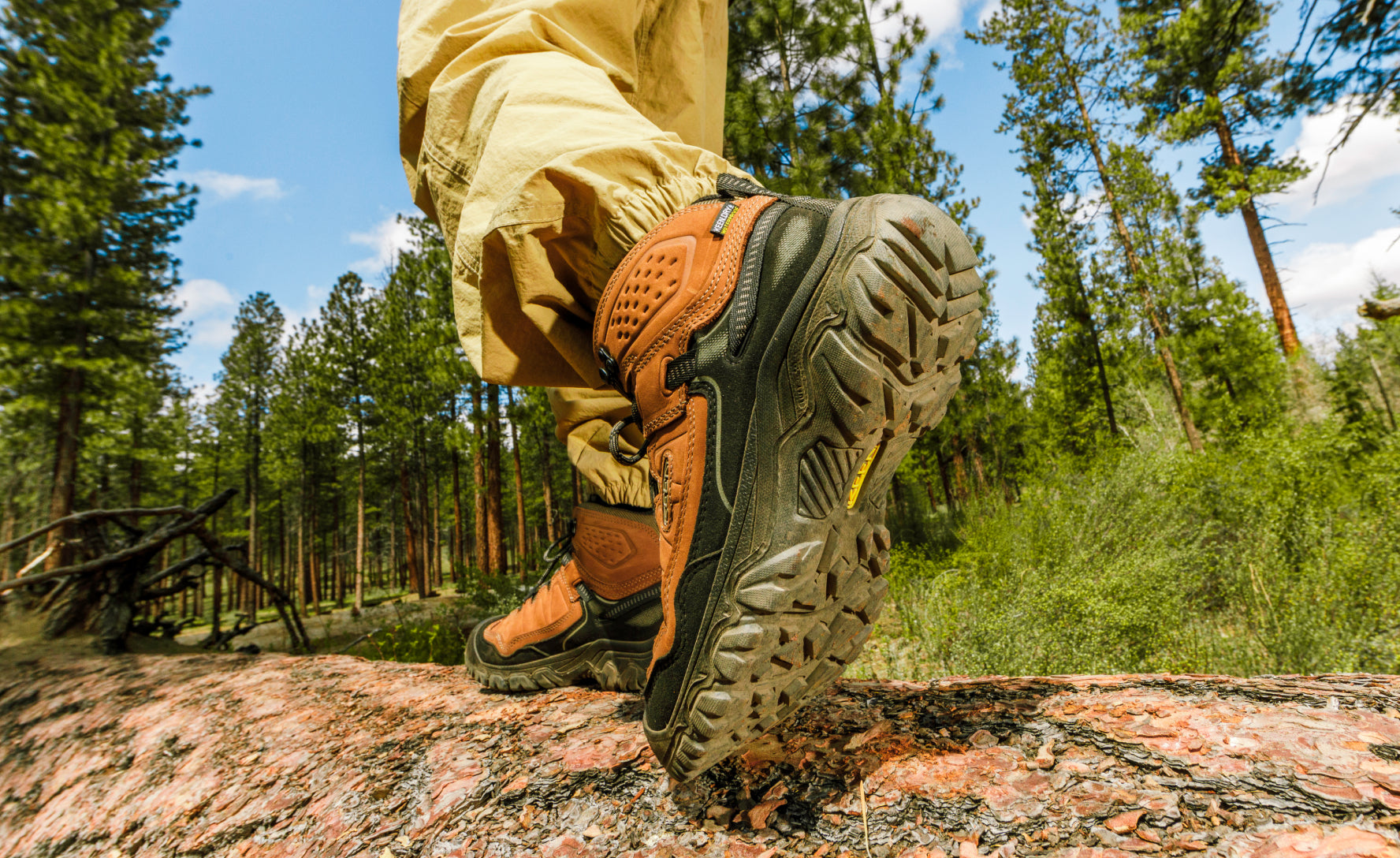 Men's Targhee IV Wide Waterproof Hiking Boot | Bison/Black - Image 7