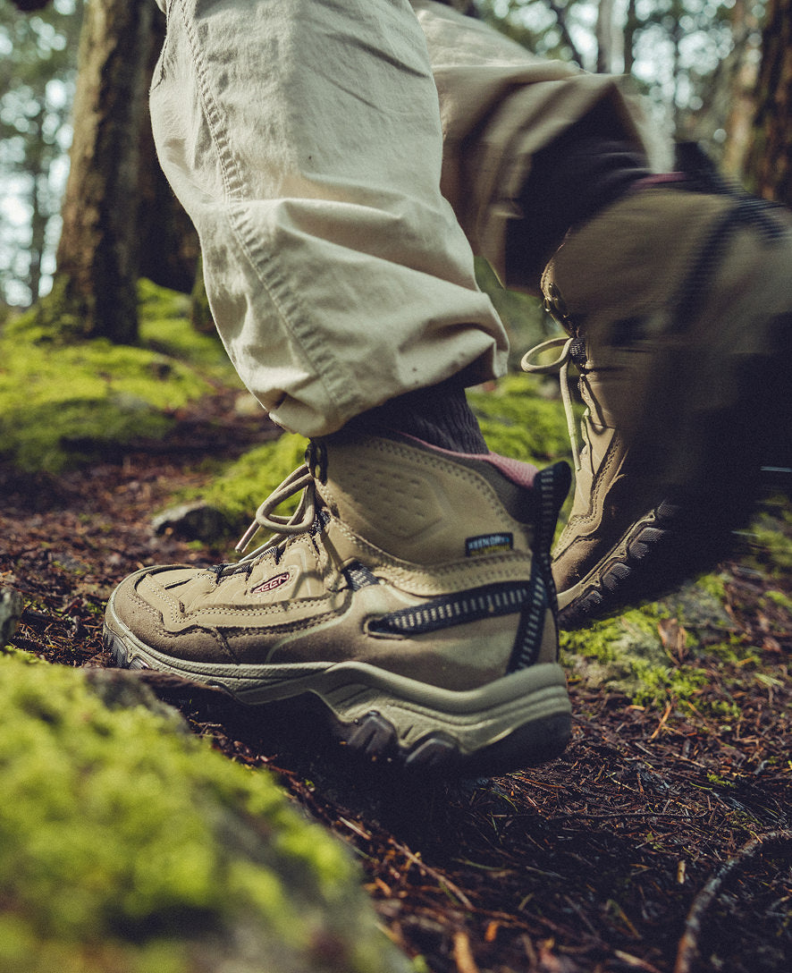 Women's Targhee IV Waterproof Hiking Boot | Bison/Beaujolais - Image 8