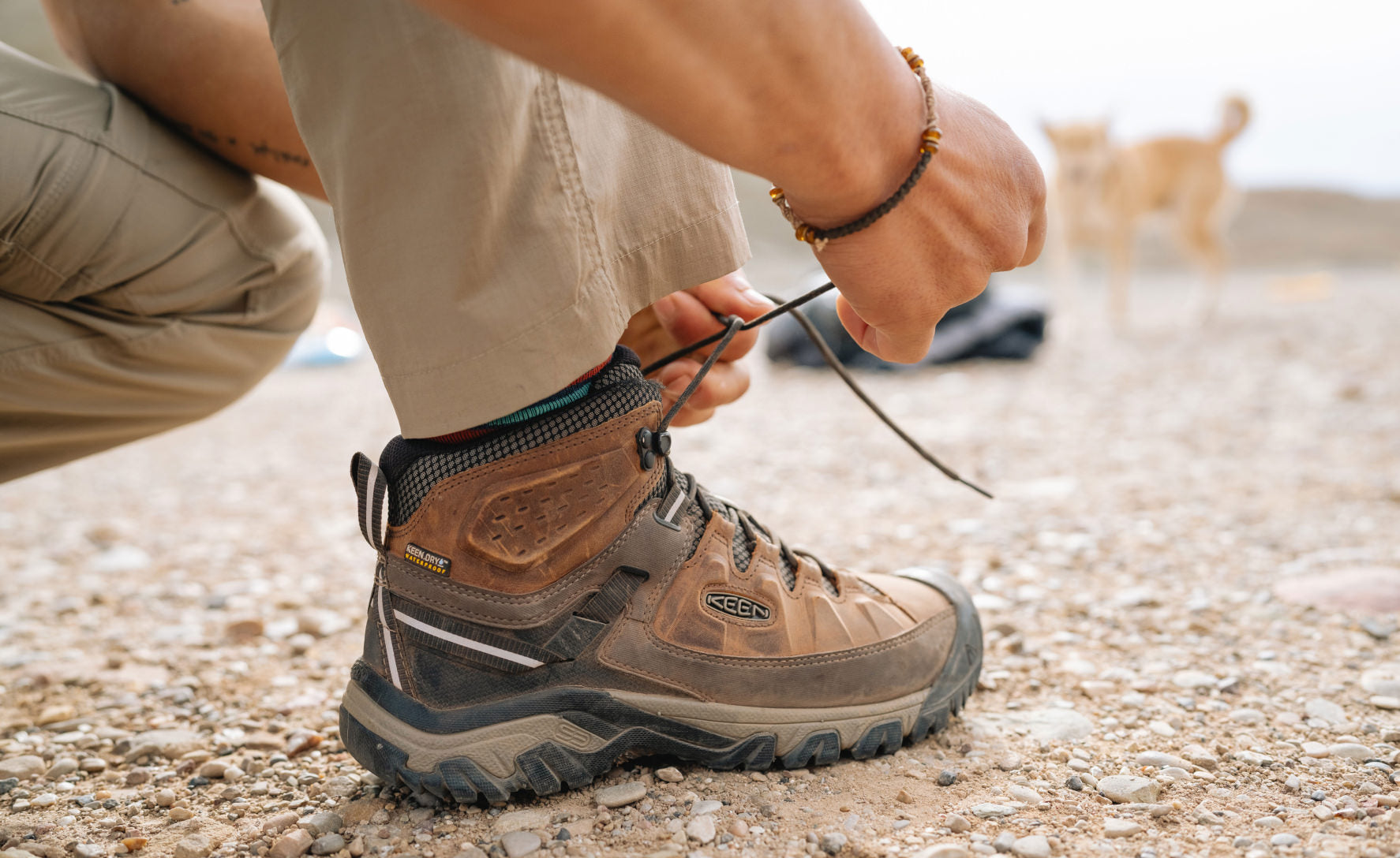 Men's Targhee III Waterproof Mid Wide | Black Olive/Golden Brown - Image 7